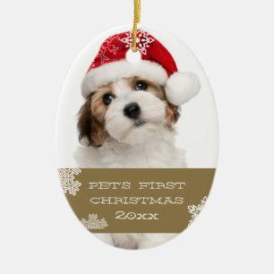 Your Pet's First Christmas Photo Ornament   Gold