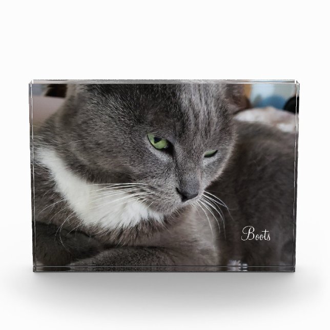 Your pet's Photo Block (Front)