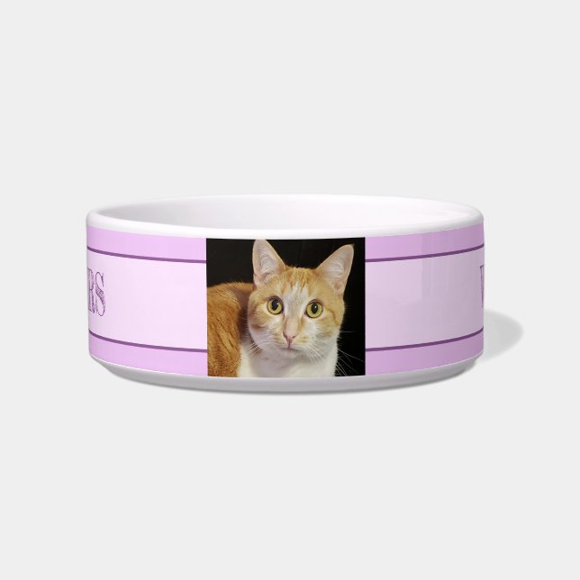 Your Photo 2 Text Pink Purple Cat Dog Pet Bowl (Front)
