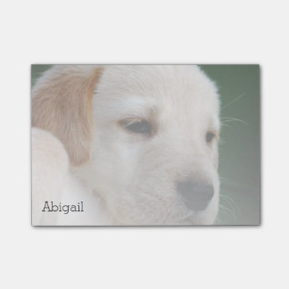 Your Photo Automatically Gradually Fades Post-it Notes