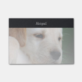 Your Photo Automatically Gradually Fades Post-it Notes