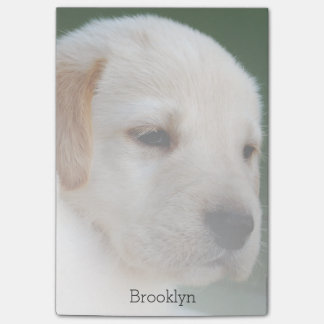 Your Photo Automatically Gradually Fades Post-it Notes