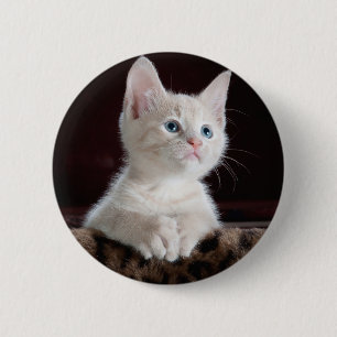 Your Photo Custom Button