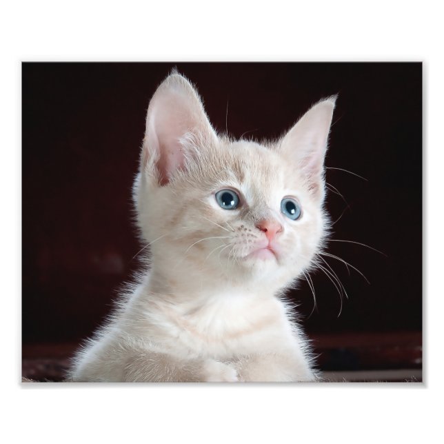 Your Photo Custom Print (Front)