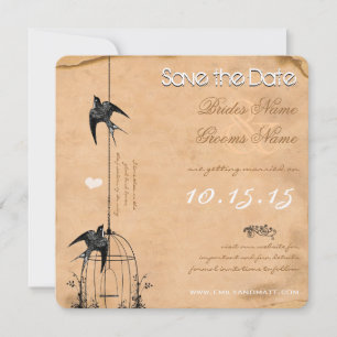 Your Photo Damask Bird Cage Wedding Save the Date Invitation