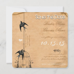 Your Photo Damask Bird Cage Wedding Save the Date Invitation