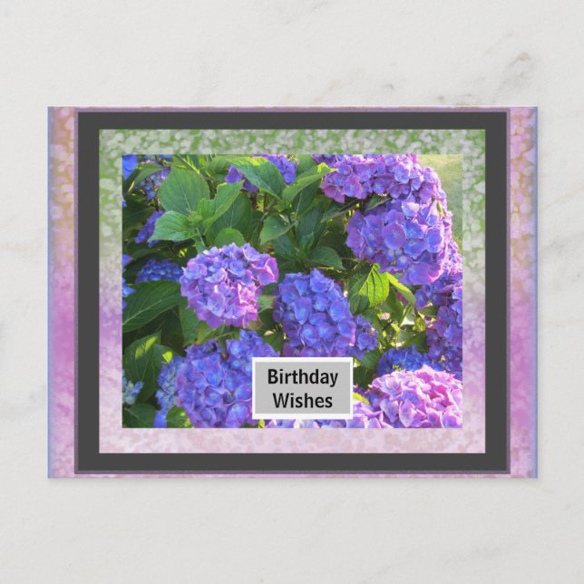 Your Photo Frame Birthday Post Card (Front)