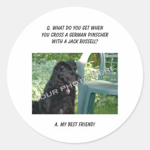 Your Photo Here! Best Friend German Pinscher Mix Classic Round Sticker
