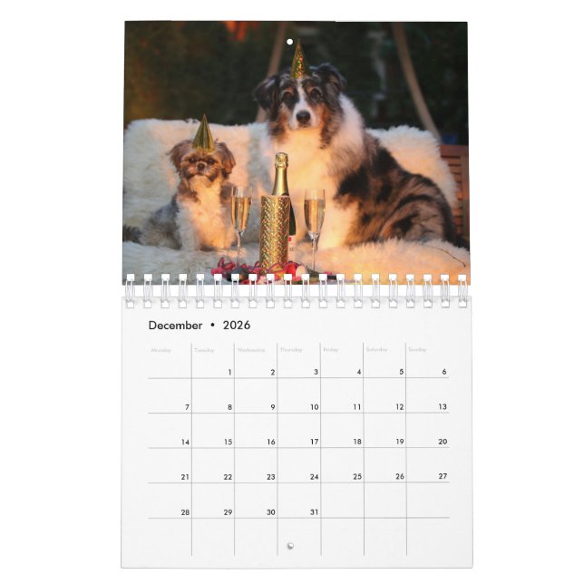 Your Photo Here - Custom Dog Photo Calendar (Dec 2026)