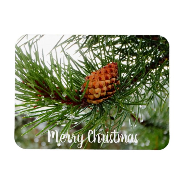 your photo here /text or  family Chritmas Magnet (Horizontal)