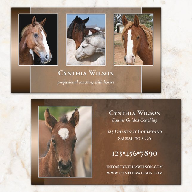 Your Photo Horse Stables or Coaching Business Card (Creator Uploaded)