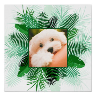Your Photo in a Palm Leaf Frame custom poster