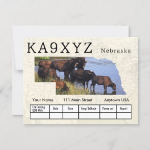 Your Photo Nebraska Shaped Cutout Custom QSL Postcard
