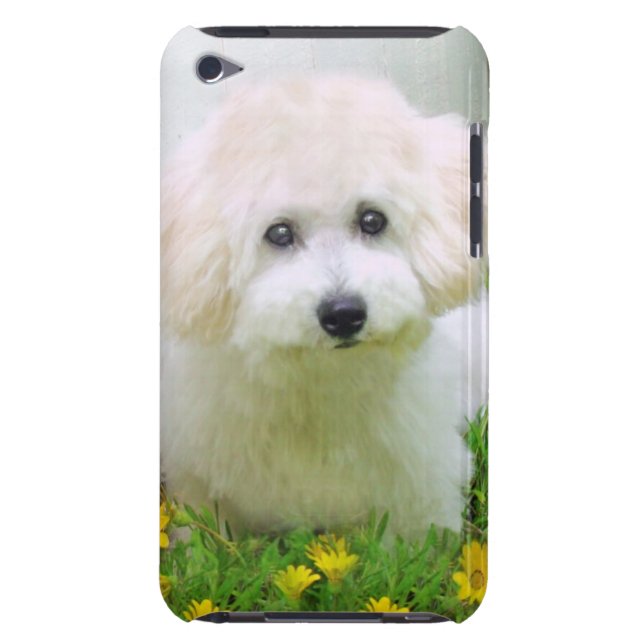 Your Photo On iPod Touch iPod Case-Mate Case (Back)