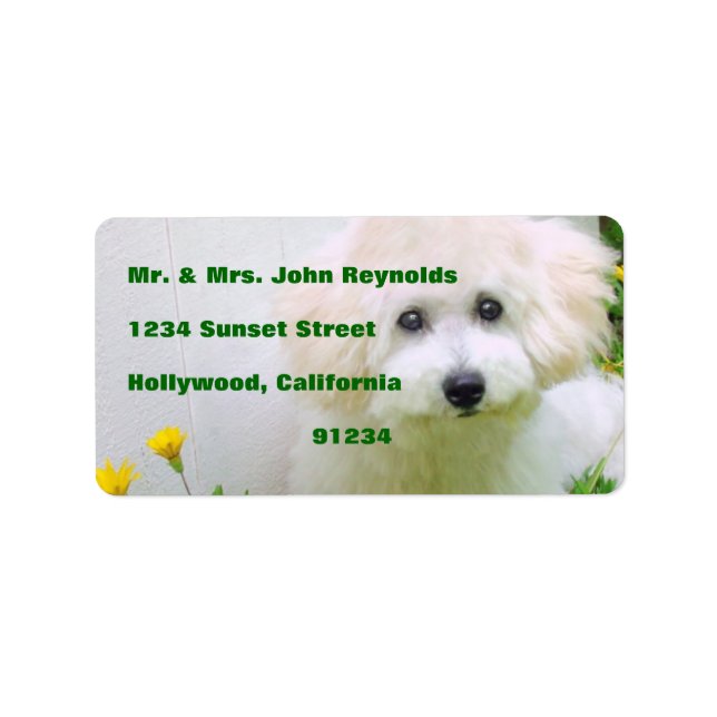 Your Photo Return Address Labels (Front)