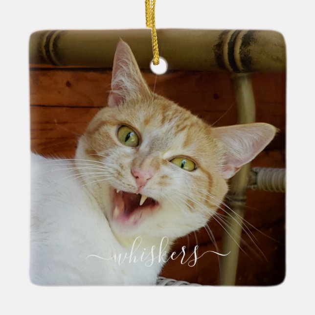 Your Photo Script Name Cat Dog Pet Keepsake Ceramic Ornament (Front)