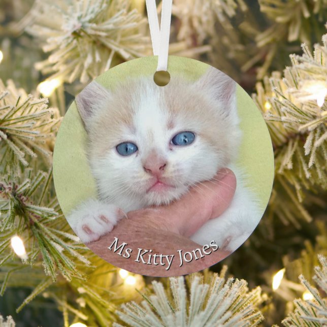 Your Photo/Text -Traditional Annual Gift & Message Metal Tree Decoration (Insitu)