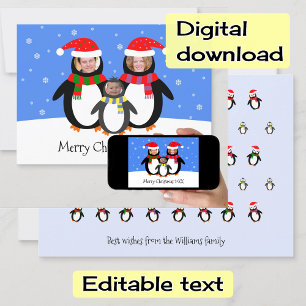 Your photos winter penguins christmas holiday card