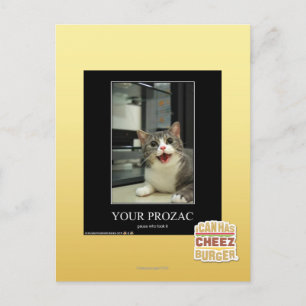 Your Prozac Postcard