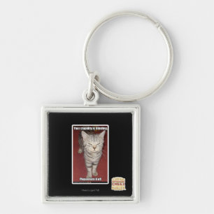 Your stupidity is blinding 2 key ring