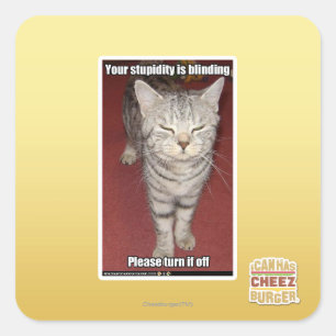 Your stupidity is blinding 2 square sticker
