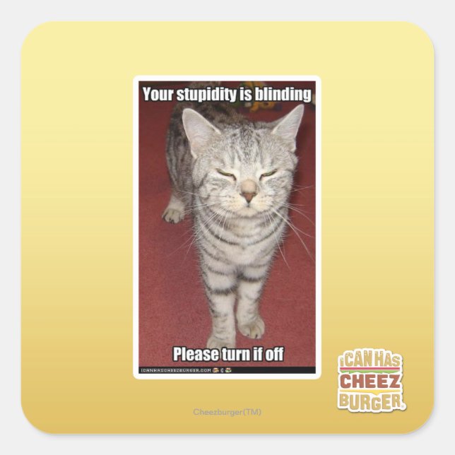 Your stupidity is blinding 2 square sticker (Front)