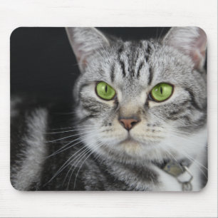 Your Sweet Cat Photo Custom Mouse Pad