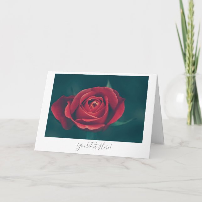 Your Text Gorgeous Red Rose Flower Greeting Card (Front)