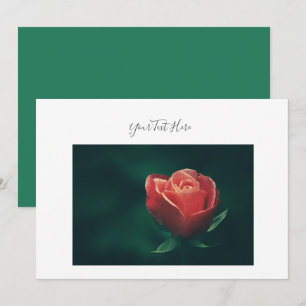 Your Text Gorgeous Red Rose Flower Invitation