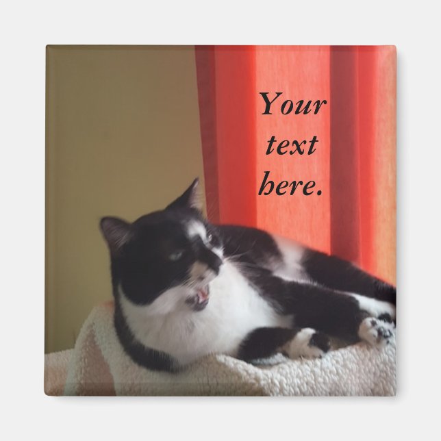 Your Text Words Tuxedo Cat Photo Magnets (Front)