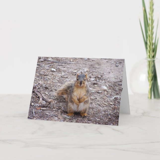 You're a Nut Card (Front)