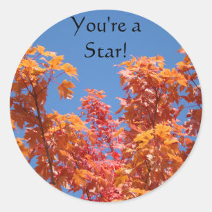 You're a Star! stickers Fall Tree Leaves Blue Sky