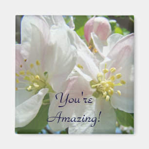 You're Amazing! magnet Pink Apple Blossoms magnets
