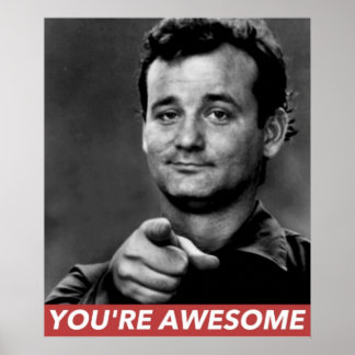 YOURE AWESOME POSTER