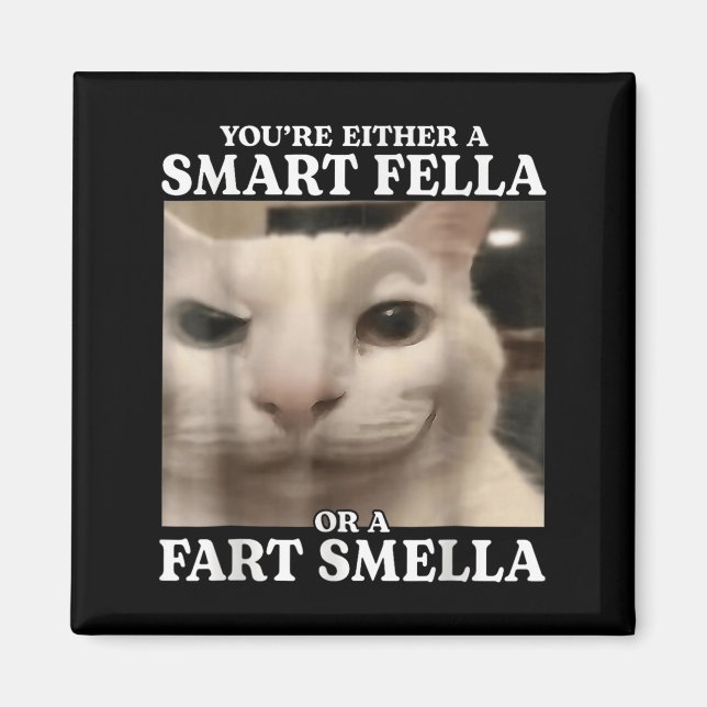 You're Either A Smart Fella Or A Fart Smella Cat F Magnet (Front)