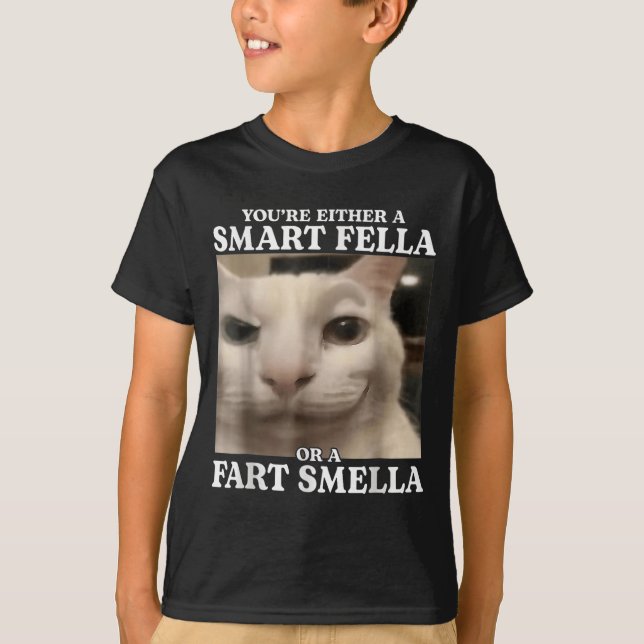 You're Either A Smart Fella Or A Fart Smella Cat F T-Shirt (Front)