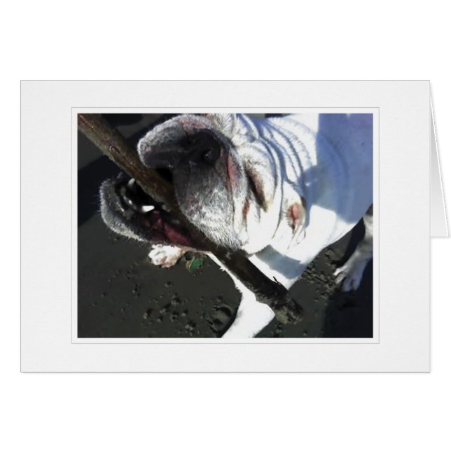 you're fetching (Front Horizontal)