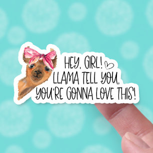 You're Going to Love This Cute Llama Funny Pun