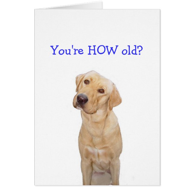 You're HOW old? (Front)