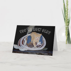 You're How Old? Funny Cat Birthday card