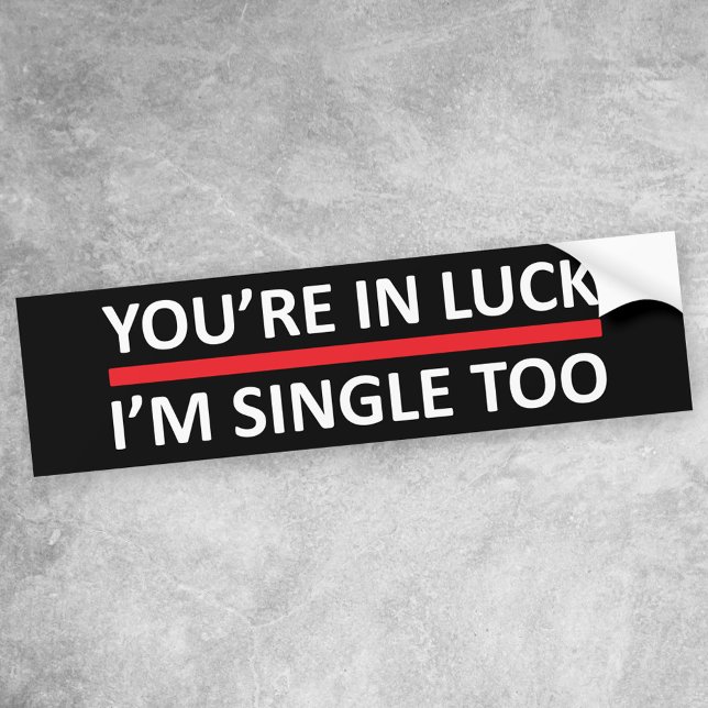 You're In Luck - I'm Single Too Bumper Sticker (Creator Uploaded)