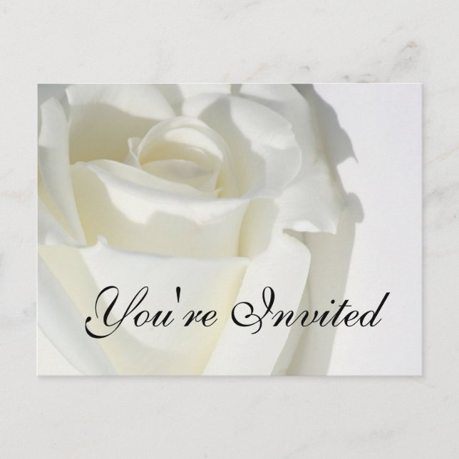 You're Invited Invitation Postcard White Rose (Front)