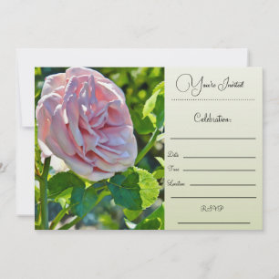 You're Invited - Single Rose Invitation