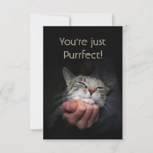 You're just Purrfect Card