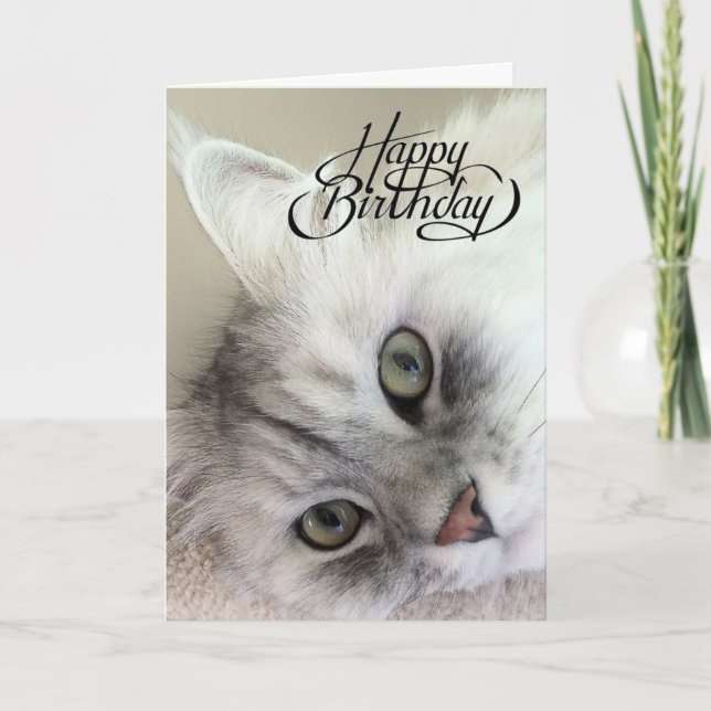 You're Meowvelous Birthday Card (Front)