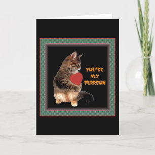 You're my Purrson Holiday Card