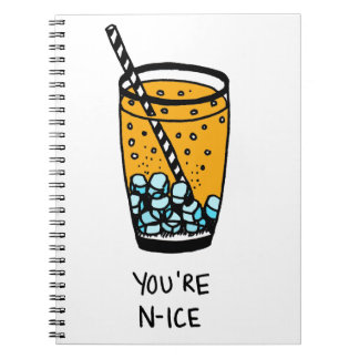 You're N-Ice Notebook