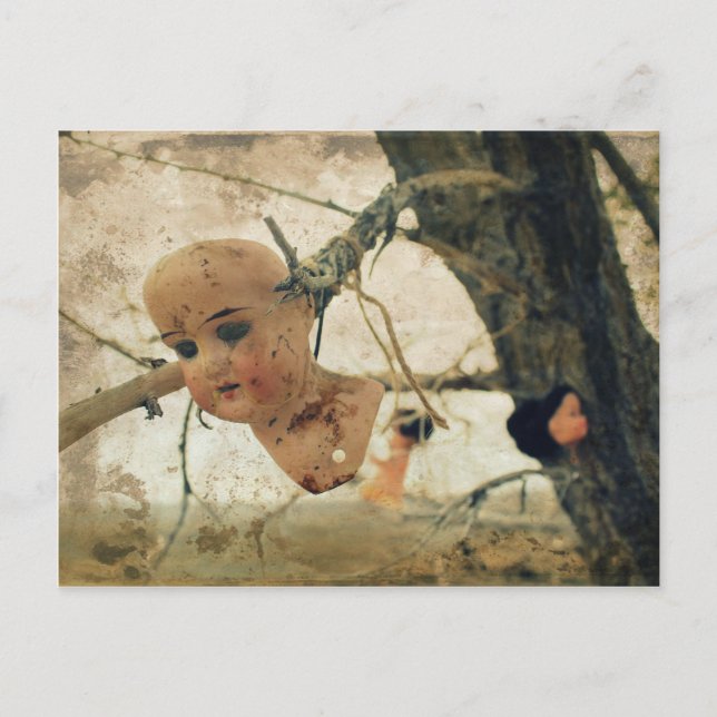 You're Never Too Old To Play With Dolls! Postcard (Front)