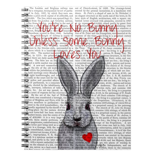 You're No Bunny Notebook (Front)