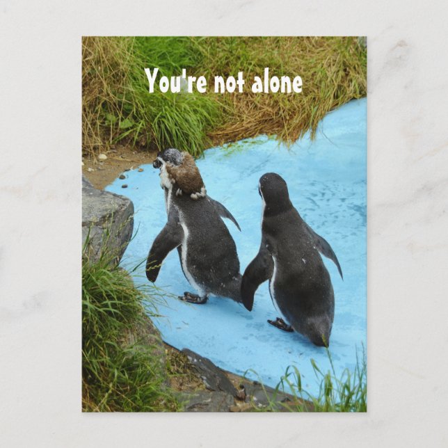 You're not alone Postcard (Front)
